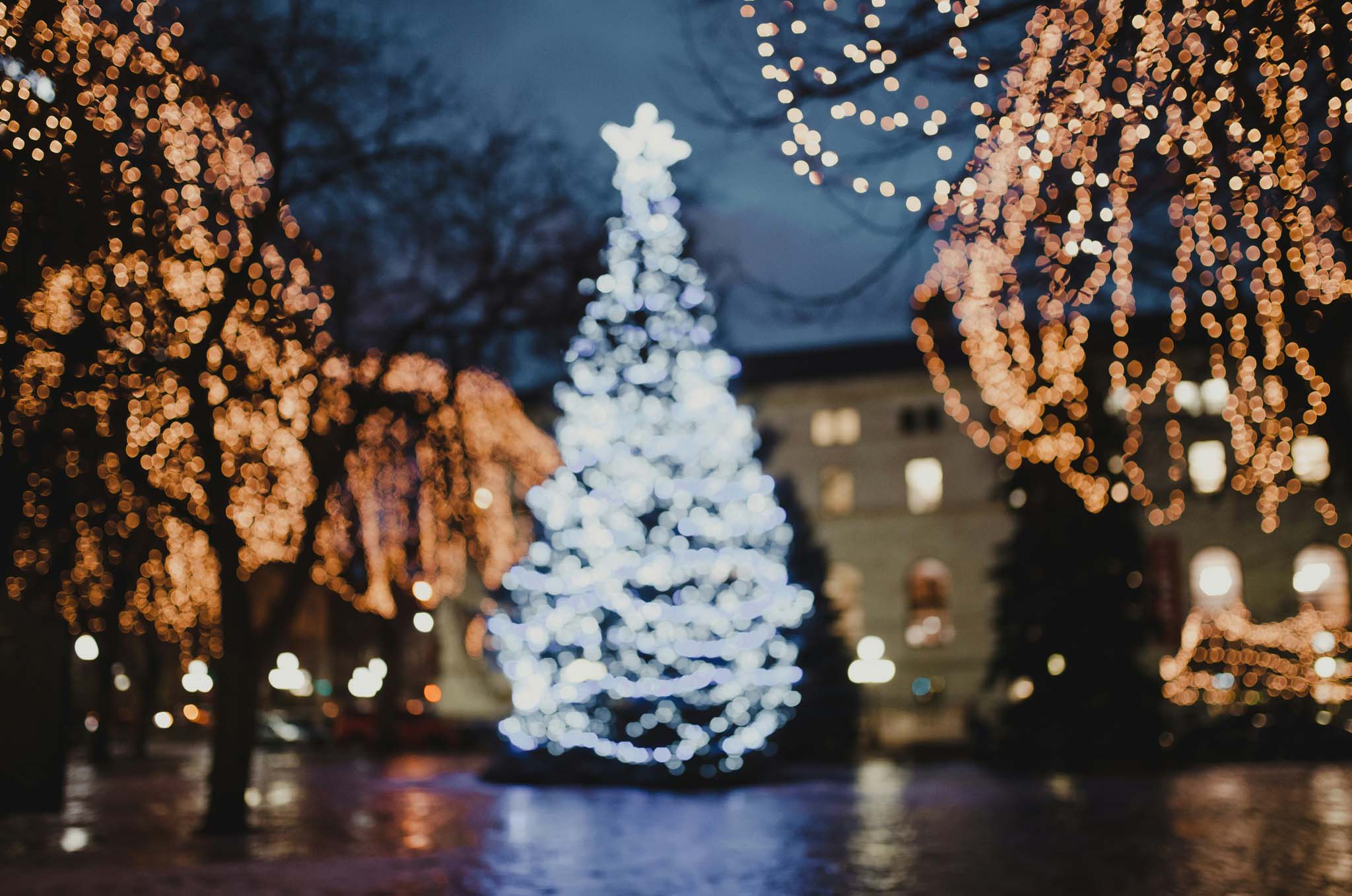 Christmas Events